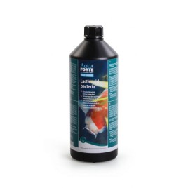Preparat z pożytecznymi bakteriami do stawu Lactic Acid Bacteria POND SUPPORT, 1L