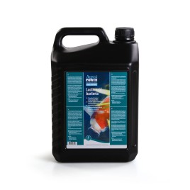 Preparat z pożytecznami bakteriami do stawu Lactic Acid Bacteria POND SUPPORT, 5L