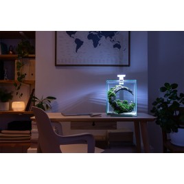 hover image