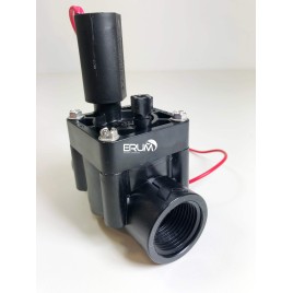 hover image